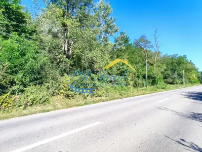 Teren intravilan de vanzare, Sotrile Prahova - foto 3