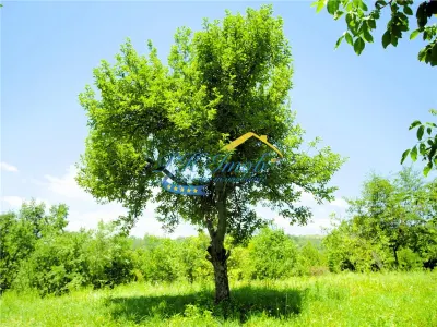 Teren intravilan de vanzare, Adunati Prahova - foto 1