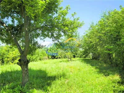 Teren intravilan de vanzare, Adunati Prahova - foto 2