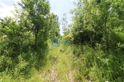 Teren intravilan de vanzare, Brebu Pietriceaua Prahova - foto 3