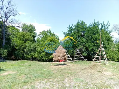 Teren Intravilan de vanzare, Poiana Campina - foto 3