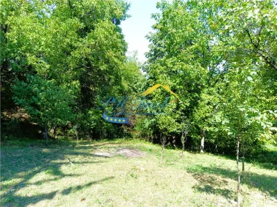 Teren Intravilan de vanzare, Poiana Campina - foto 4