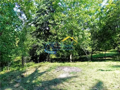 Teren Intravilan de vanzare, Poiana Campina - foto 5