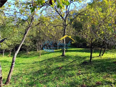 Teren intravilan de vanzare, Adunati Prahova - foto 2