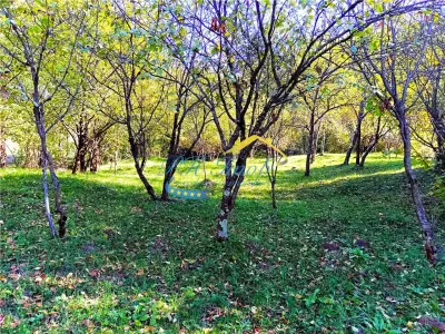 Teren intravilan de vanzare, Adunati Prahova - foto 3