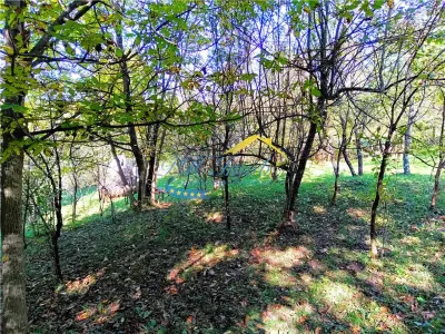 Teren intravilan de vanzare, Adunati Prahova - foto 5