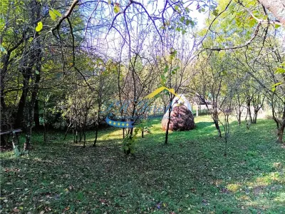 Teren intravilan de vanzare, Adunati Prahova - foto 6