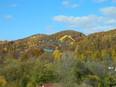 Teren Intravilan de Vanzare, Provita - foto 6