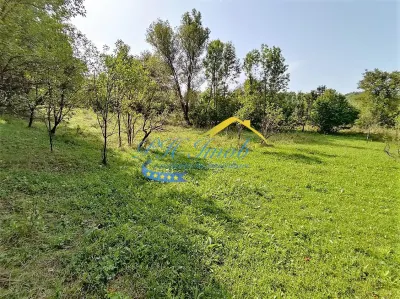 Teren Intravilan de Vanzare, Provita - foto 8