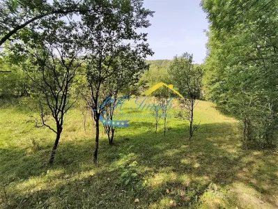 Teren Intravilan de Vanzare, Provita - foto 9