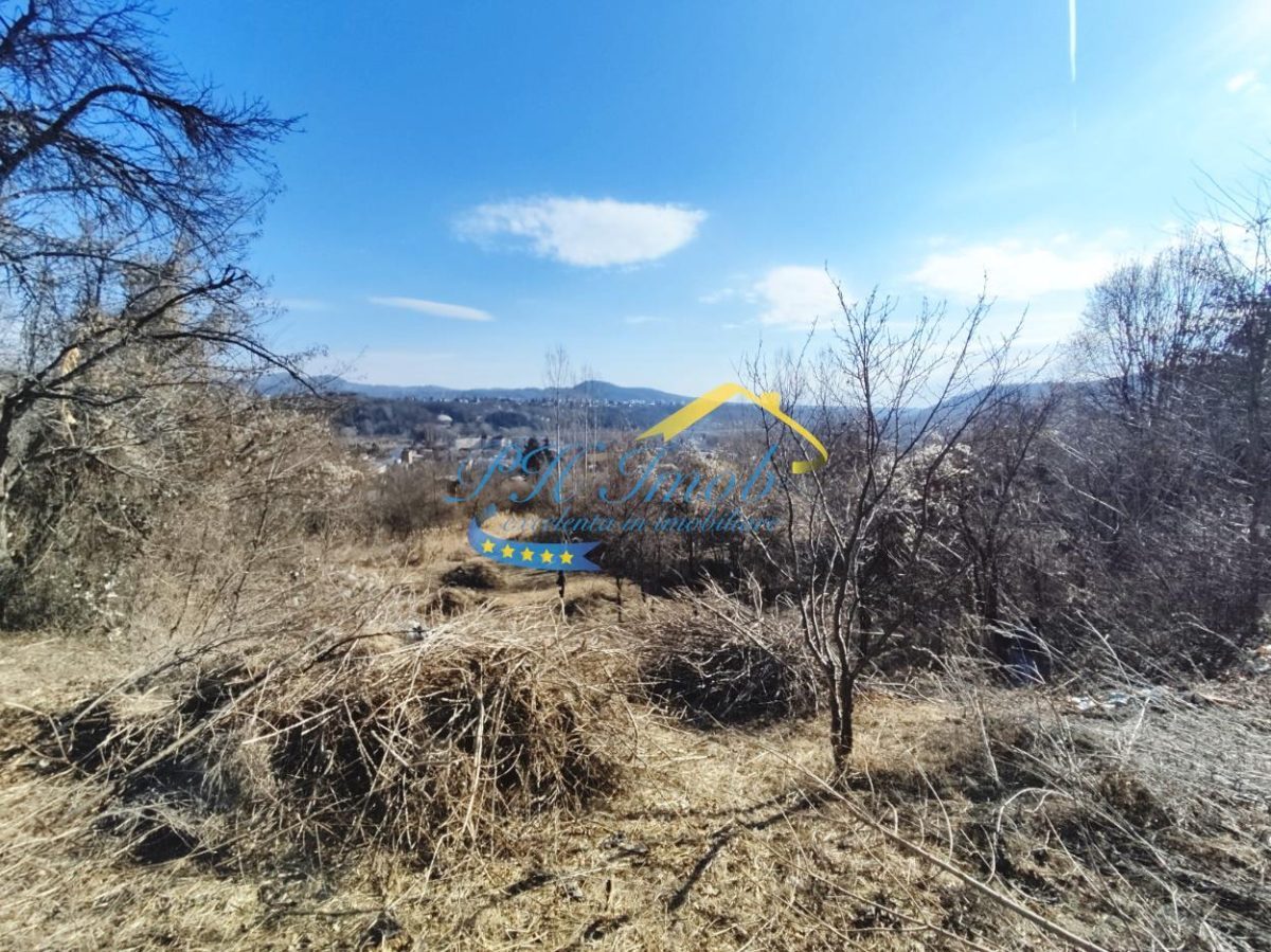 Teren Intravilan de vanzare, Poiana Campina - Poiana Campina