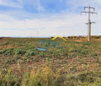 Teren Intravilan de vanzare Paulesti Prahova - foto 2