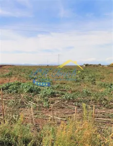 Teren Intravilan de vanzare Paulesti Prahova - foto 3