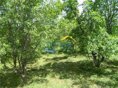 Teren intravilan de vanzare, Breaza Prahova - foto 9