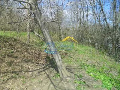 Teren intravilan de Vanzare, Breaza Prahova - foto 7