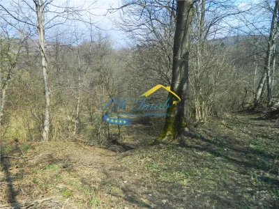 Teren intravilan de vanzare, Brebu Prahova - foto 5