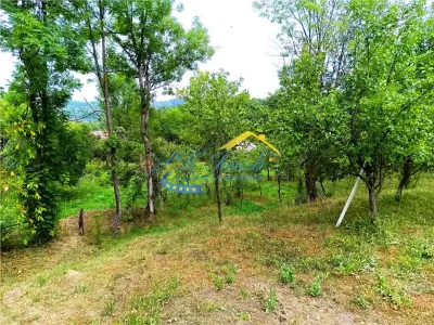 Teren intravilan de vanzare, Adunati Prahova - Adunati