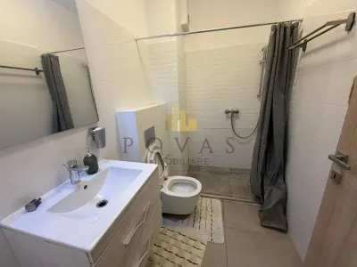Vanzare Apartament Mobilat 3 Camere Campul Pipera - foto 7