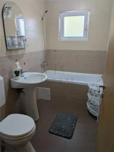 Apartament 3 camere | Braytim – Giroc | Parter | Parcare proprie | Gradina - foto 6