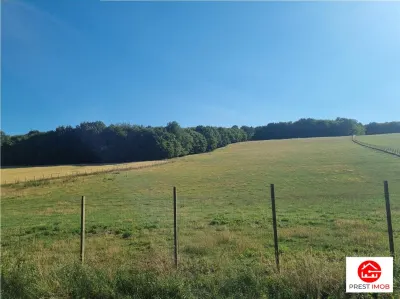 De vanzare teren intravilan 3.1 Ha, Sancraul De Mures, Mures - foto 2