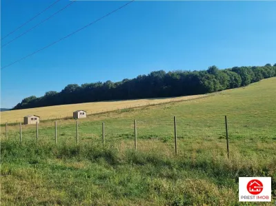 De vanzare teren intravilan 3.1 Ha, Sancraul De Mures, Mures - foto 3