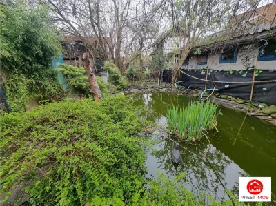 Casa istorica muzeu 4 camere, 2 bai cu 1344 mp teren, ultracentral, Tg Mures - foto 9
