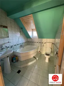 Casa independenta , vintage de vanzare , 300 mp cu teren de 1493 mp Sancrariul de Mures - foto 6
