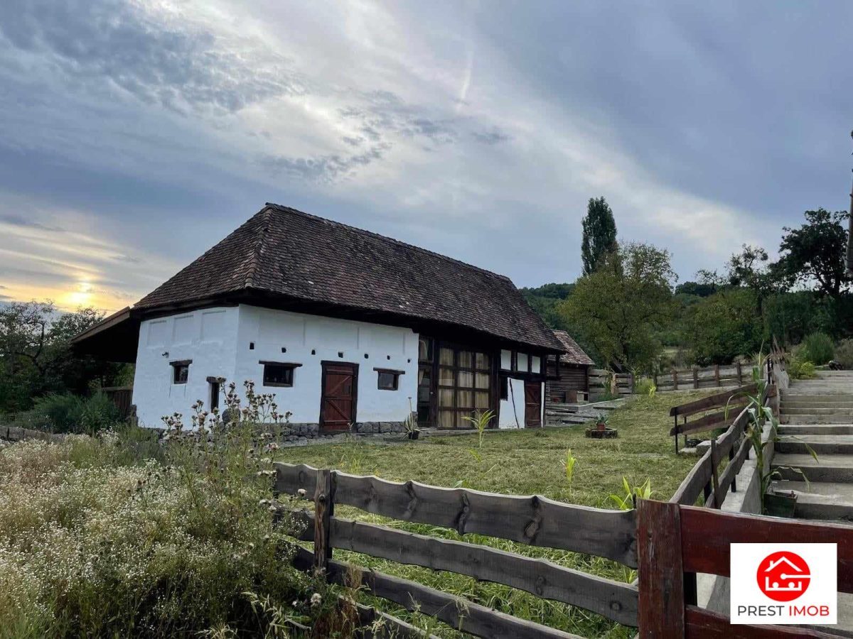 Casa de vanzare si cafenea in stil rustic - Candu