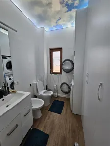 Casa Individuala - mobilata utilata - zona buna - 200 mp utili - teren 600 mp - panouri solare - foto 12