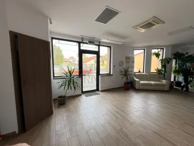 MIRCEA CEL BATRAN - CASA INDIVIDUALA + TEREN GENEROS - SAD - INVESTITIE UNICA - Timisoara