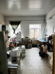 MIRCEA CEL BATRAN - CASA INDIVIDUALA + TEREN GENEROS - SAD - INVESTITIE UNICA - foto 17
