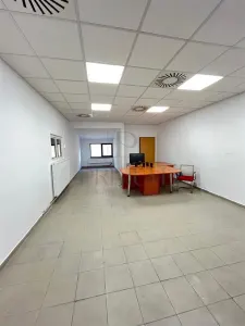 MIRCEA CEL BATRAN - CASA INDIVIDUALA + TEREN GENEROS - SAD - INVESTITIE UNICA - foto 7
