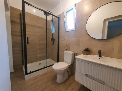 PLOPI, DUPLEX 3 CAMERE, AMENAJAT MODERN + APARTAMENT 1 CAMERA - Timisoara