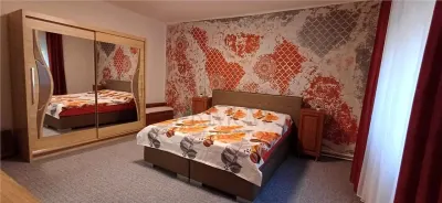 FREIDORF | CASA INDIVIDUALA | 3 CAMERE | RENOVATA | GRADINA | CENTRALA | ANVELOPATA | POD - foto 4