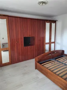 Apartament 1 camera-Complex-Confort 1 - Timisoara