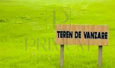 Sacalaz- drum asfaltat- toate utilitatile - Sacalaz
