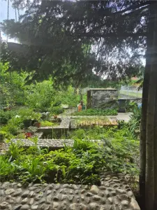 INVESTITIE CIARDA ROSIE- CASA INDIVIDUALA  - TEREN GENEROS - ZONA EXCELENTA - foto 5