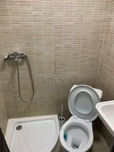 Garsoniera-Buziasului-Ac - foto 8