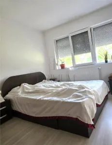 CIRCUMVALATIUNII - PARTER - 3 CAMERE - BALCON - CENTRALA PROPRIE - RULOURI - RENOVAT - foto 7
