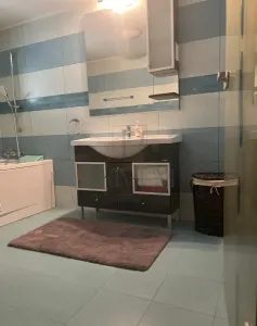 ELISABETIN, VILA 5 CAMERE P+E+M, 3 BAI, 3 BALCOANE, TERASE, GARAJ - foto 8