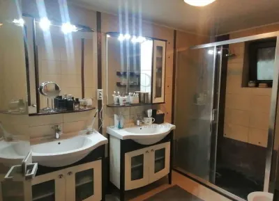 ELISABETIN, VILA 5 CAMERE P+E+M, 3 BAI, 3 BALCOANE, TERASE, GARAJ - foto 9
