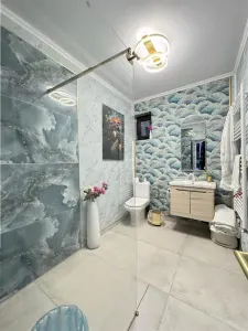 CIARDA ROSIE - CASA INDIVIDUALA - GARAJ - TEREN 720MP - PARTIAL AMENAJATA - foto 5