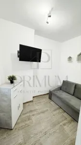 LIPOVEI - 1 CAMERA - RENOVATA - IDEAL INVESTITII - ZONA FRUMOASA - foto 3