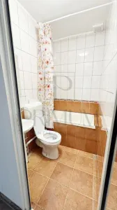 LIPOVEI - 1 CAMERA - RENOVATA - IDEAL INVESTITII - ZONA FRUMOASA - foto 8