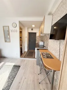 BUZIASULUI - 1 CAMERA - RENOVATA  - PRETABIL INVESTITII - foto 2
