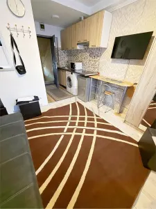 BUZIASULUI - 1 CAMERA - RENOVATA  - PRETABIL INVESTITII - foto 3