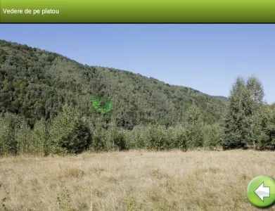 Teren Zarnesti -Plaiul Foii,ideal pensiune,locatie superba,17E/MP - foto 5