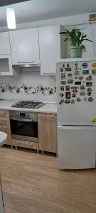 Apartament 2 camere decomandat, Cetate, bulevard - foto 4