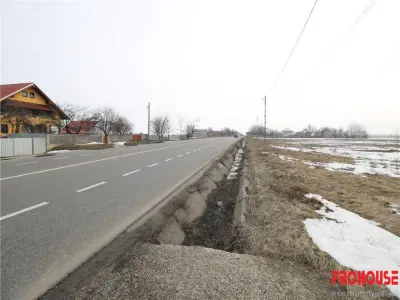Dumbrava - 12.172mp - extravilan - foto 2
