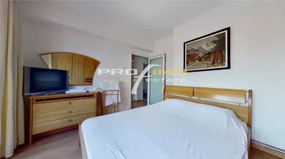 Ultracentral Lic.Mircea Cel Batran, Duplex 4 cam. cu Vedere la Mare - foto 12